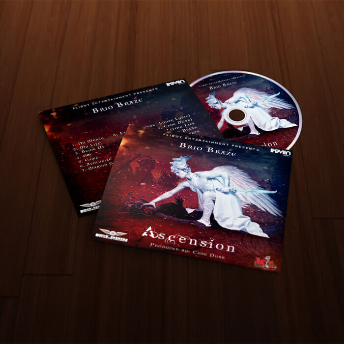 Vous voulez sortir un nouvel album et vous souhaitez frapper fort avec une pochette d'album professionnelle ? iKeviin se charge de la conception de votre pochette d'album dans un délai de 24 à 48 heures à partir de 40,00 euros seulement (paiement sécurisé par Paypal).